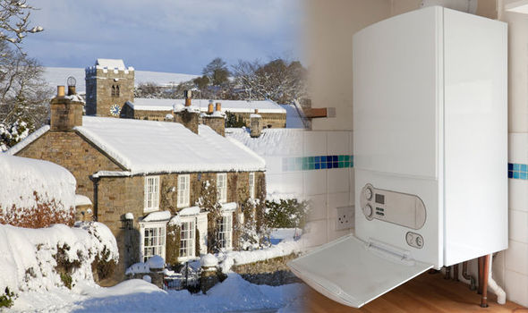 Electrification of Home Heating System: Advantages, Challenges, and Logistics Considerations