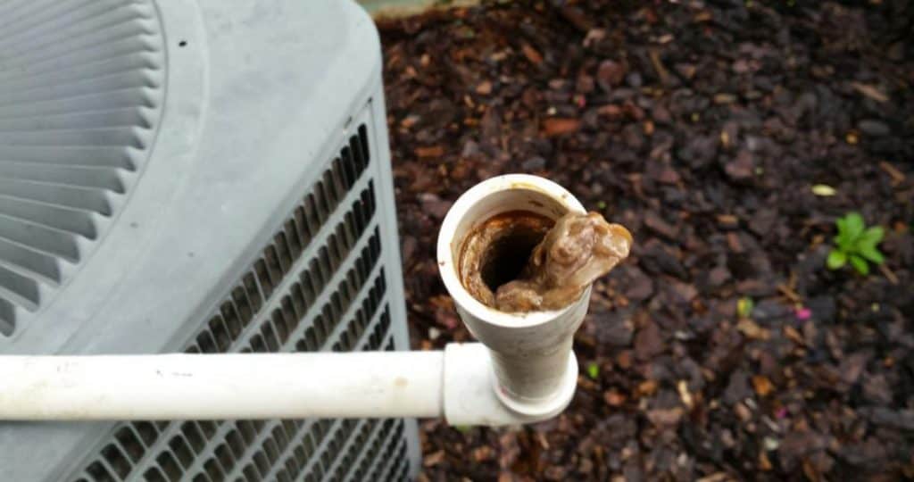 Cleaning a Blocked AC Condensate Drain Line - Central Air Conditioning Repair in Staten Island